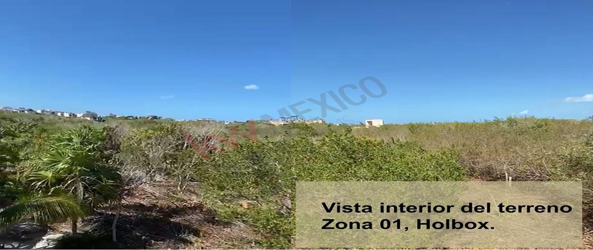 Foto de terreno habitacional en venta en calle ciricotes, manzana 222 , isla de holbox, lázaro cárdenas, quintana roo, 30071728 No. 04