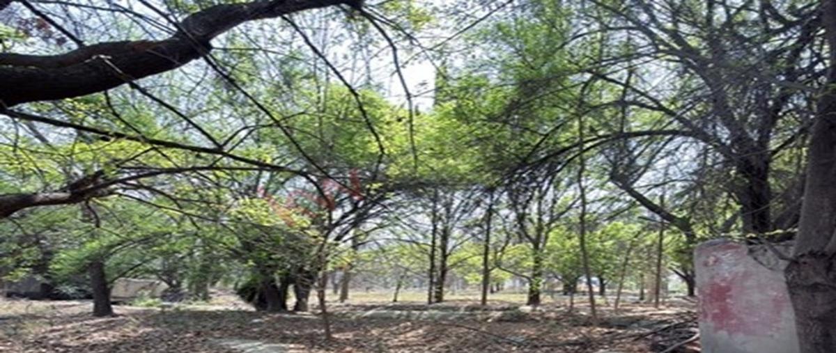 Foto de terreno habitacional en calle colon 142, centro villa de garcia (casco), garcía, nuevo león, 0 foto 03 Foto de terreno habitacional en venta en calle colon 142, centro villa de garcia (casco), garcía, nuevo león, 0 No. 03