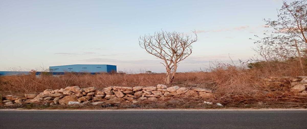 Foto de terreno habitacional en venta en calle , conkal, conkal, yucatán, 30146793 No. 05