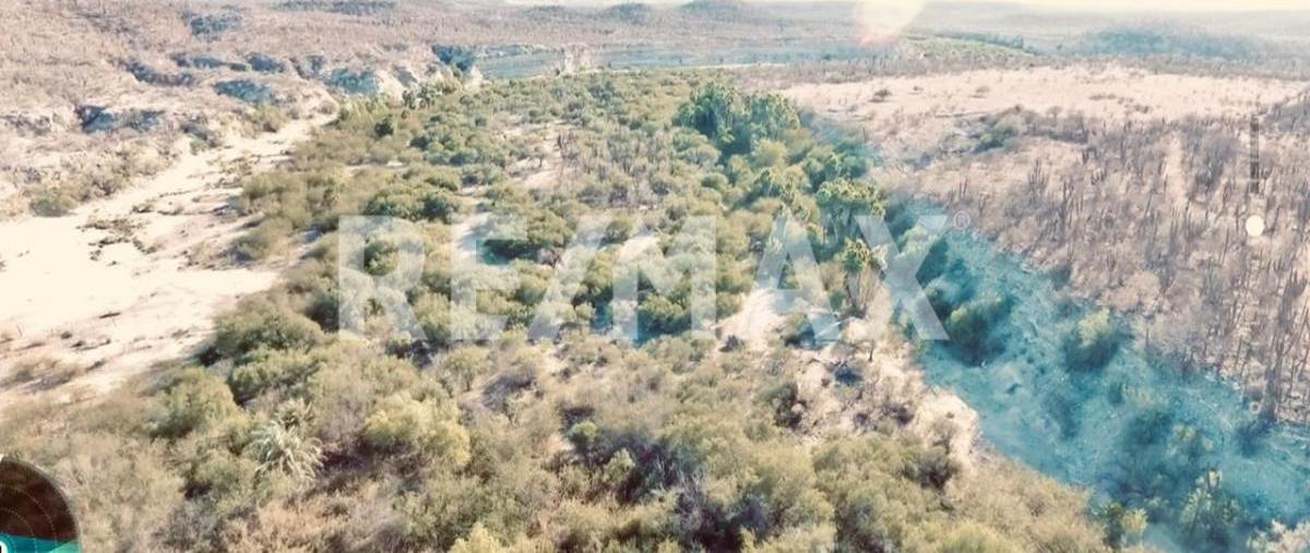 Foto de rancho en venta en calle conocida , san hilario, la paz, baja california sur, 0 No. 04