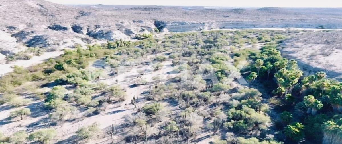 Foto de rancho en venta en calle conocida , san hilario, la paz, baja california sur, 0 No. 05