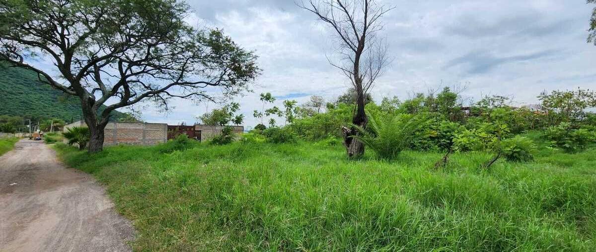Foto de terreno habitacional en venta en calle cruz del sursan isidro mazatepec , san isidro mazatepec, tala, jalisco, 28601595 No. 01