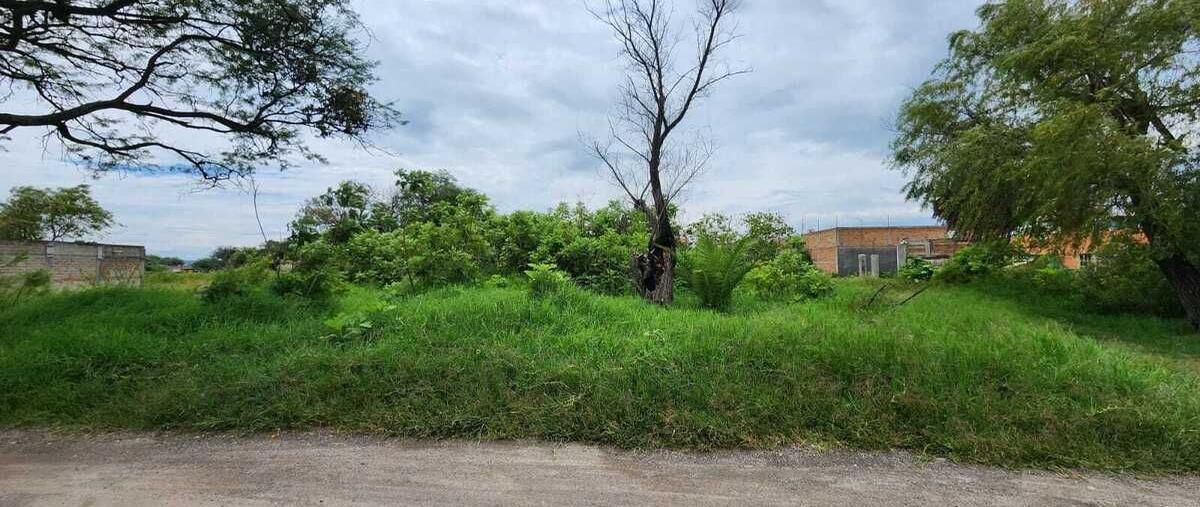 Foto de terreno habitacional en venta en calle cruz del sursan isidro mazatepec , san isidro mazatepec, tala, jalisco, 28601595 No. 02