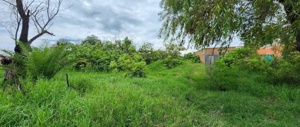 Foto de terreno habitacional en venta en calle cruz del sursan isidro mazatepec , san isidro mazatepec, tala, jalisco, 28601595 No. 03