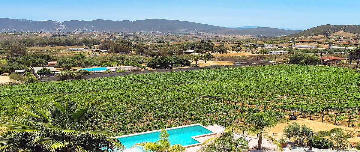 Foto de rancho en venta en calle cuarzo , san antonio de las minas, ensenada, baja california, 0 No. 02