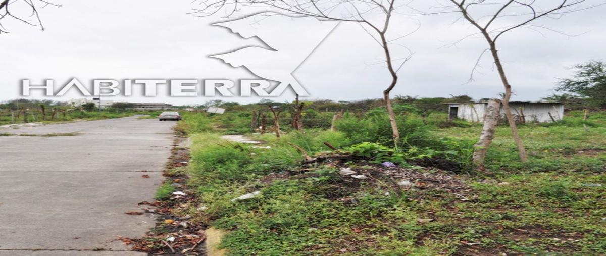 Foto de terreno habitacional en venta en calle cuatro con calle cinco, colonia franco cruz her , franco cruz hernández, tuxpan, veracruz de ignacio de la llave, 0 No. 03