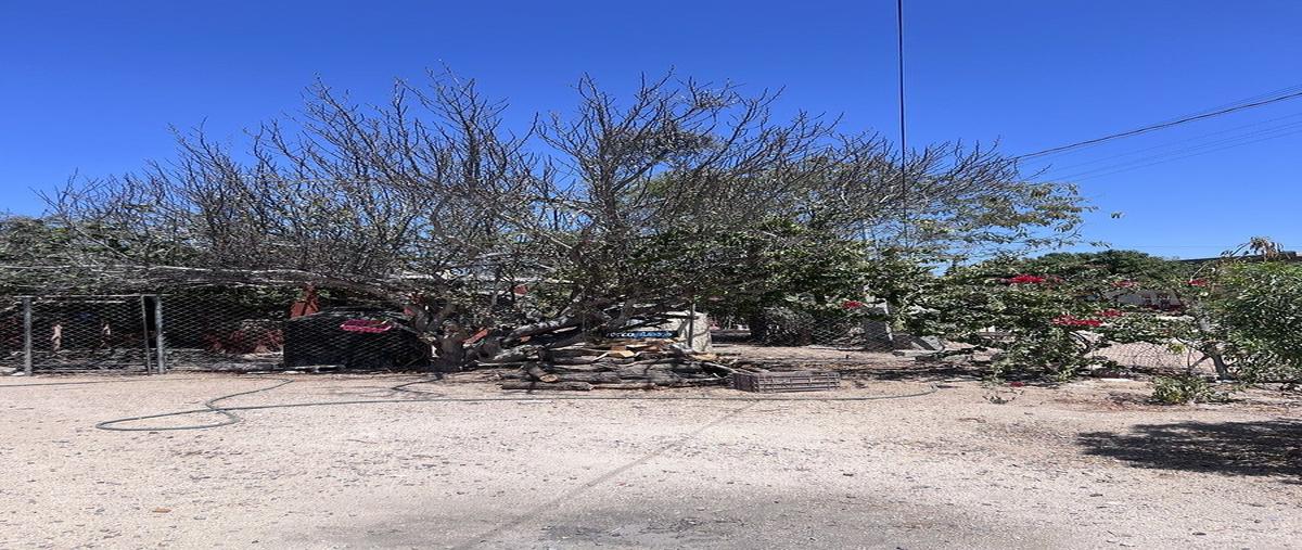 Foto de terreno habitacional en venta en calle cuatro , el centenario, la paz, baja california sur, 0 No. 03