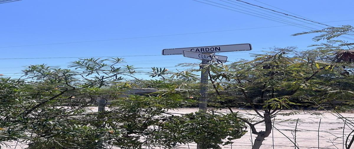 Foto de terreno habitacional en venta en calle cuatro , el centenario, la paz, baja california sur, 0 No. 04