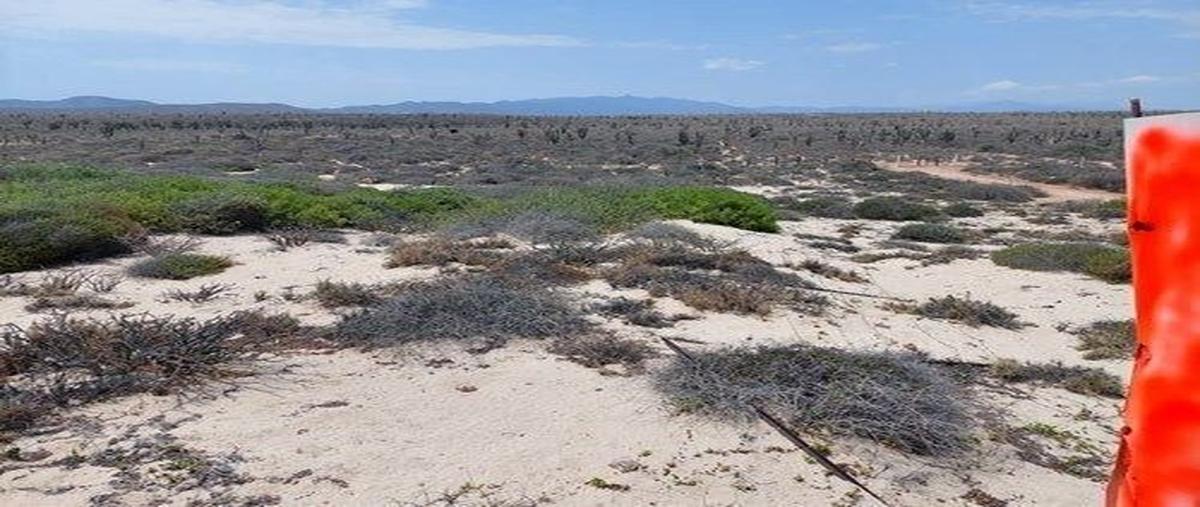 Foto de terreno habitacional en venta en calle de acceso en el ejido vicente de los planes , gral. juan dominguez cota, la paz, baja california sur, 0 No. 02