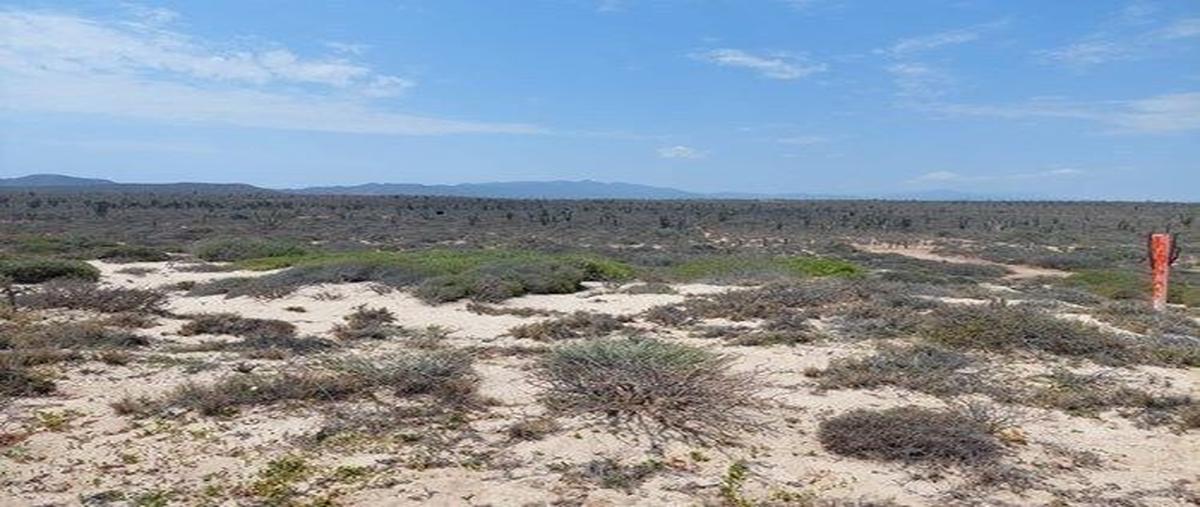 Foto de terreno habitacional en venta en calle de acceso en el ejido vicente de los planes , gral. juan dominguez cota, la paz, baja california sur, 0 No. 03
