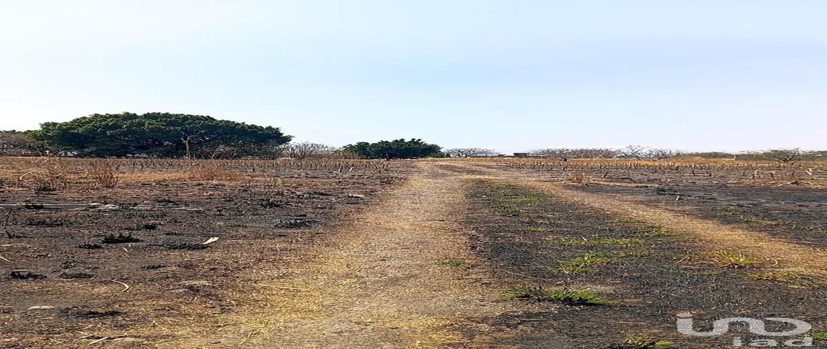 Foto de terreno habitacional en venta en calle de la amrgura 80, zacahuacatla, yecapixtla, morelos, 31254356 No. 04