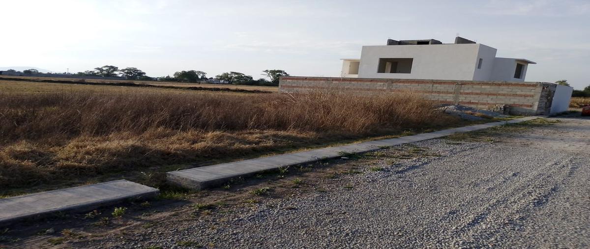 Foto de terreno habitacional en venta en calle de la cruz 280, san sebastián, metepec, méxico, 28704311 No. 04