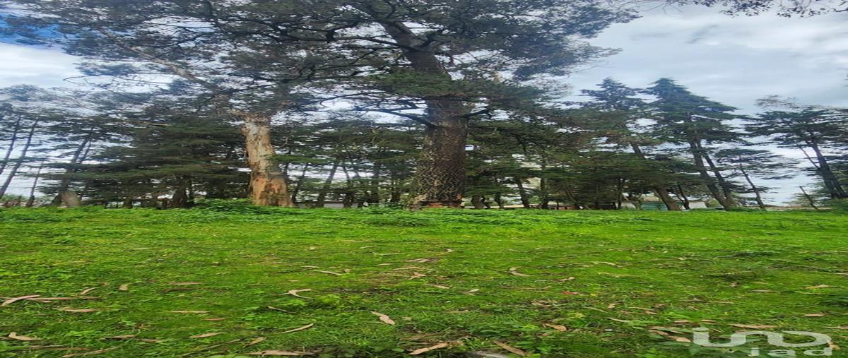 Foto de terreno habitacional en venta en calle de las animas , popo park, atlautla, méxico, 30211463 No. 03