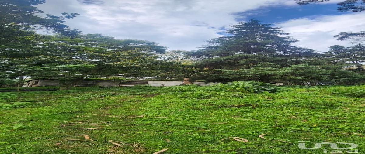 Foto de terreno habitacional en venta en calle de las animas , popo park, atlautla, méxico, 30211463 No. 04