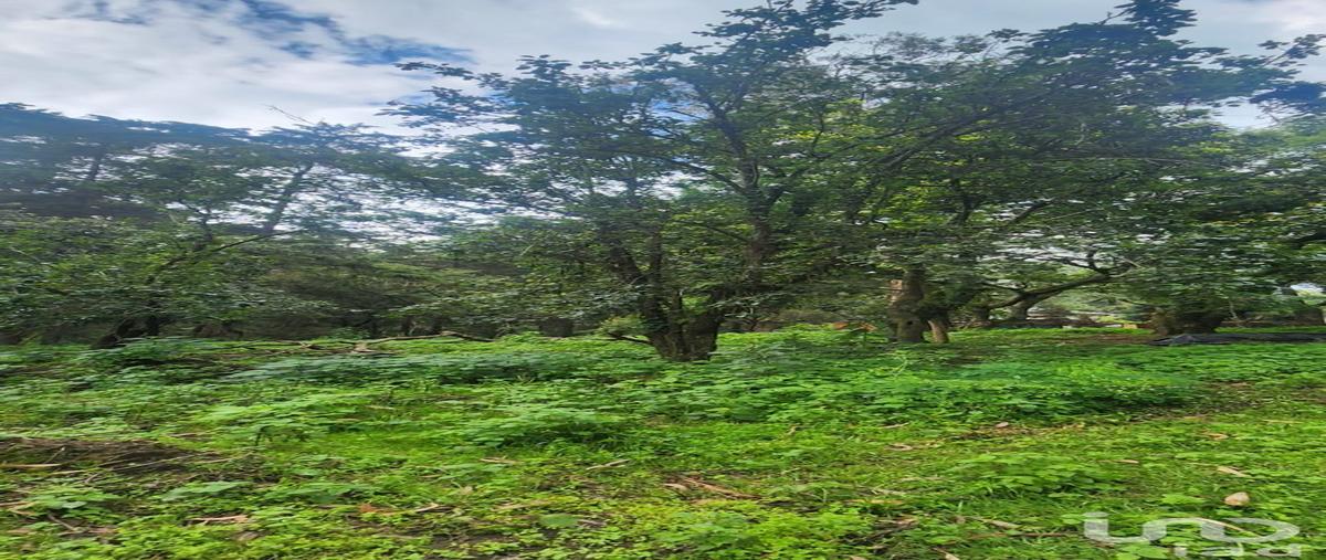 Foto de terreno habitacional en venta en calle de las animas , popo park, atlautla, méxico, 30211463 No. 05