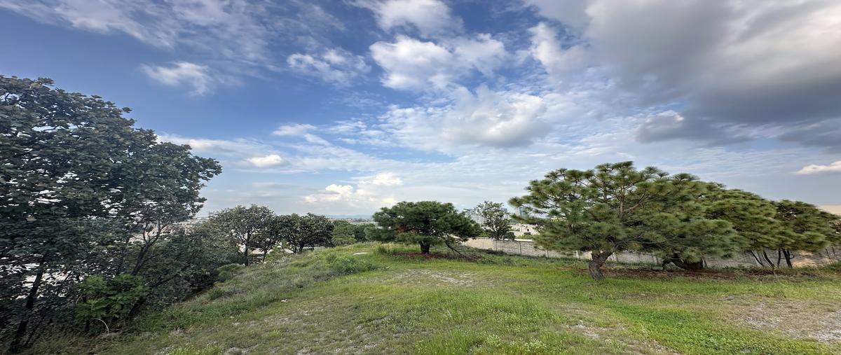 Foto de terreno habitacional en venta en calle de los andes , cumbres, zapopan, jalisco, 28644973 No. 03