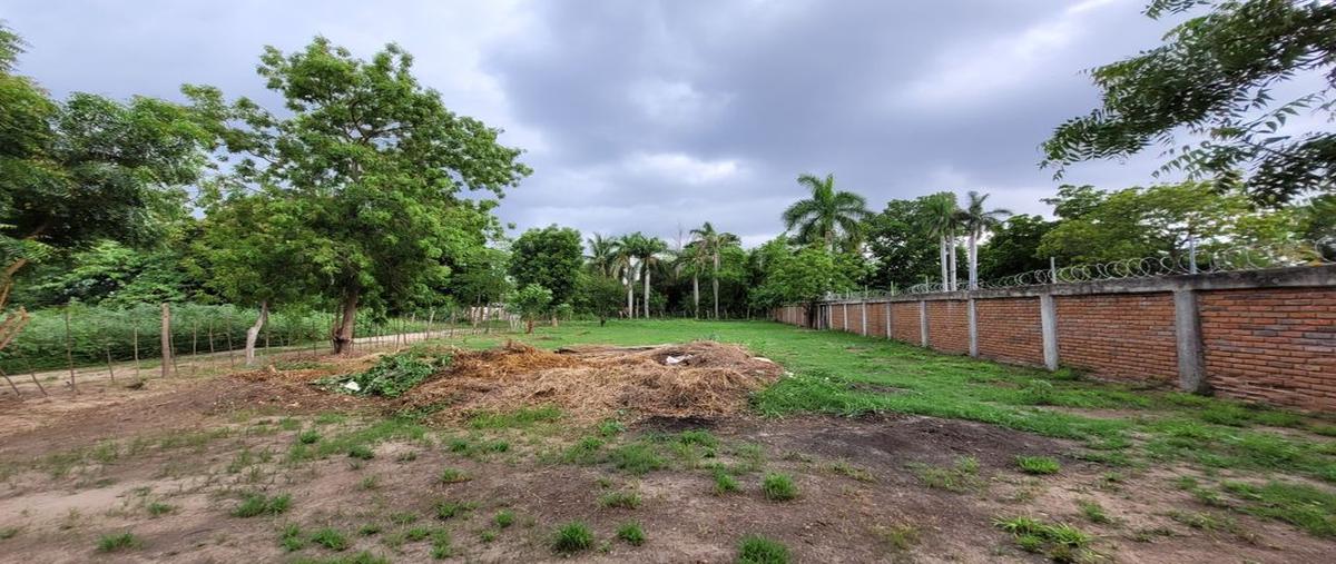 Foto de rancho en calle de los mangos 80376, laguna de san pedro, navolato, sinaloa, 26920322 foto 04 Foto de rancho en venta en calle de los mangos 80376, laguna de san pedro, navolato, sinaloa, 26920322 No. 04