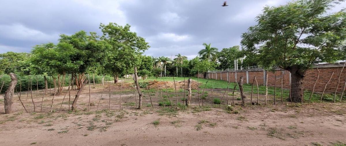Foto de rancho en calle de los mangos 80376, laguna de san pedro, navolato, sinaloa, 26920322 foto 05 Foto de rancho en venta en calle de los mangos 80376, laguna de san pedro, navolato, sinaloa, 26920322 No. 05