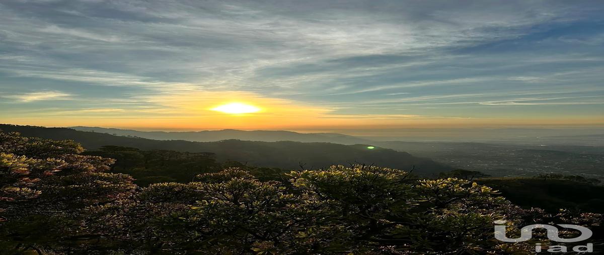 Foto de terreno habitacional en venta en calle de los ocotes , los ocotes, tepoztlán, morelos, 0 No. 04