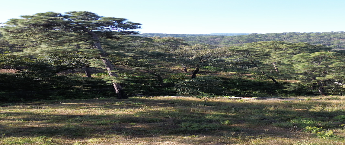 Foto de terreno industrial en venta en calle de los pinos , avándaro, valle de bravo, méxico, 29443886 No. 04