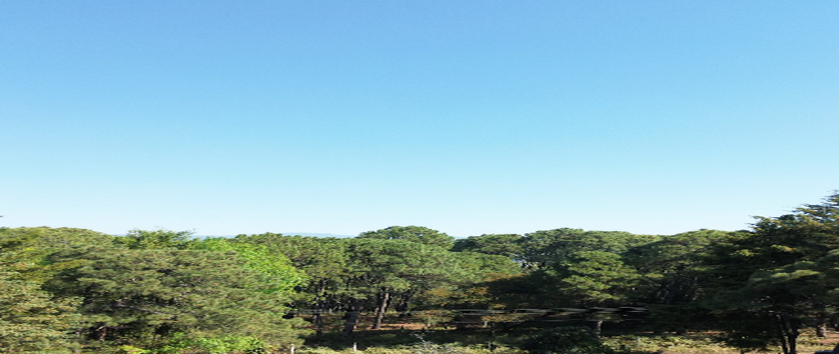 Foto de terreno industrial en venta en calle de los pinos , avándaro, valle de bravo, méxico, 29443886 No. 06
