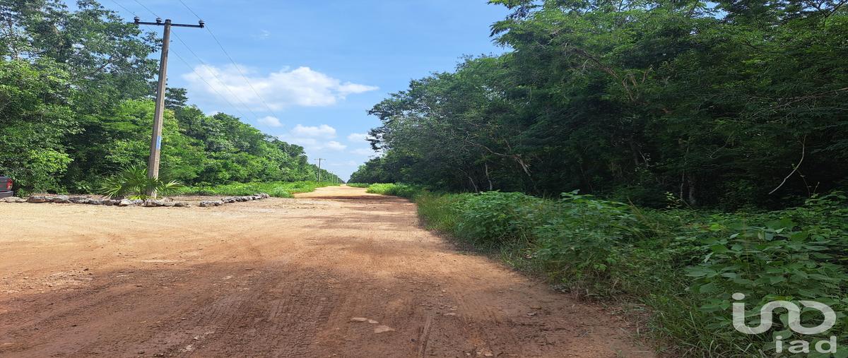 Foto de terreno habitacional en venta en calle de los pozos , puerto morelos, puerto morelos, quintana roo, 0 No. 04