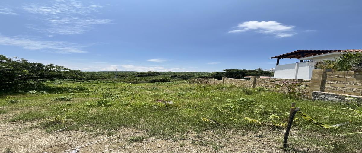 Foto de terreno habitacional en venta en calle del jaguey , chapala centro, chapala, jalisco, 0 No. 05