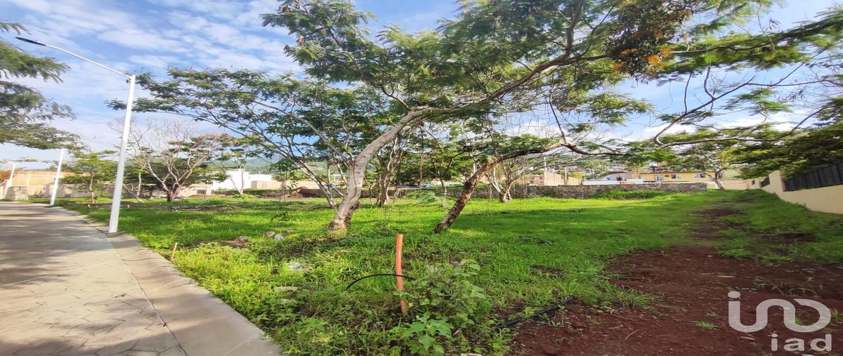 Foto de terreno habitacional en venta en calle del monte 187, ajijic centro, chapala, jalisco, 31123284 No. 03