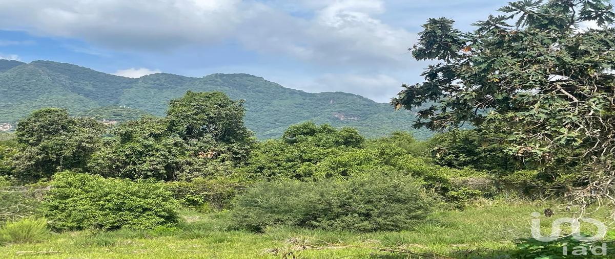 Foto de terreno habitacional en venta en calle del panteon , san juan, malinalco, méxico, 0 No. 03