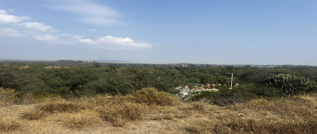 Foto de terreno habitacional en venta en calle del pavo , el cortijo, san miguel de allende, guanajuato, 28833343 No. 03