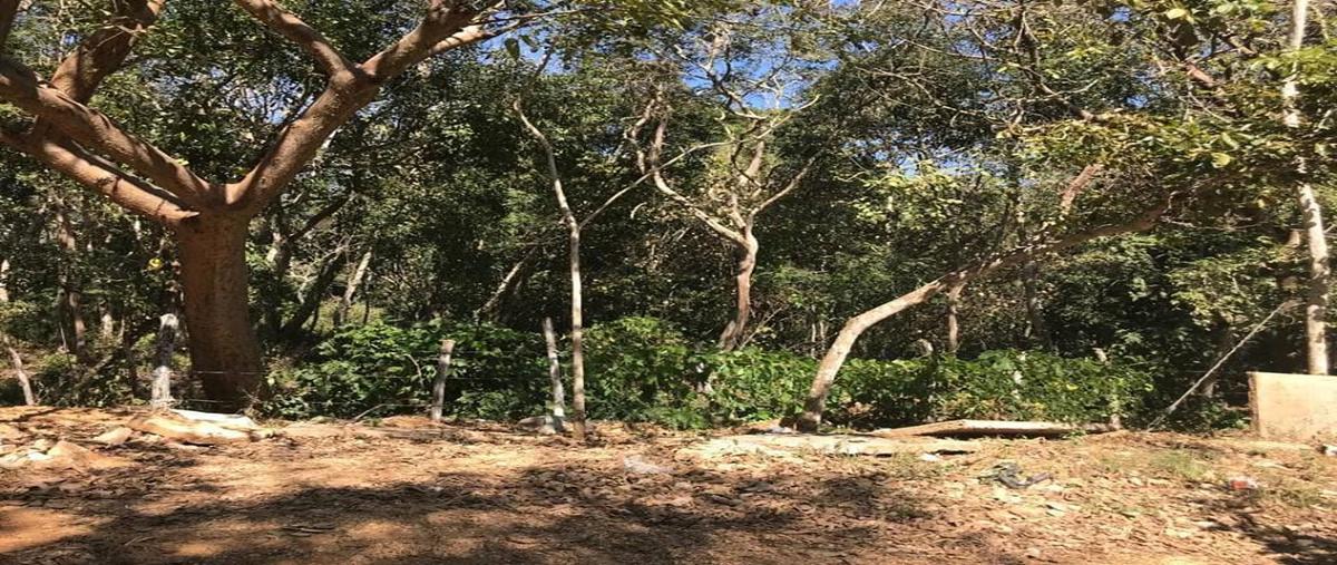 Foto de terreno habitacional en venta en calle del prisco , gabriel esquinca, san fernando, chiapas, 14405920 No. 02