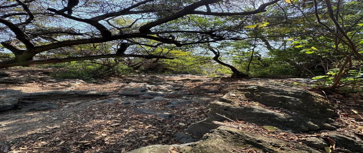 Foto de terreno habitacional en venta en calle del tanque , san juan, malinalco, méxico, 0 No. 04
