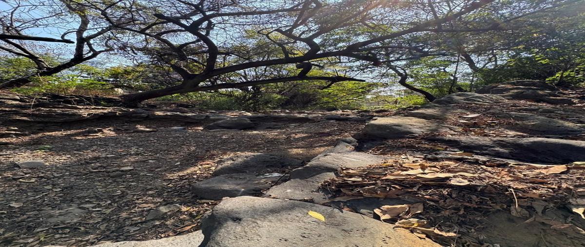 Foto de terreno habitacional en venta en calle del tanque , san juan, malinalco, méxico, 0 No. 05