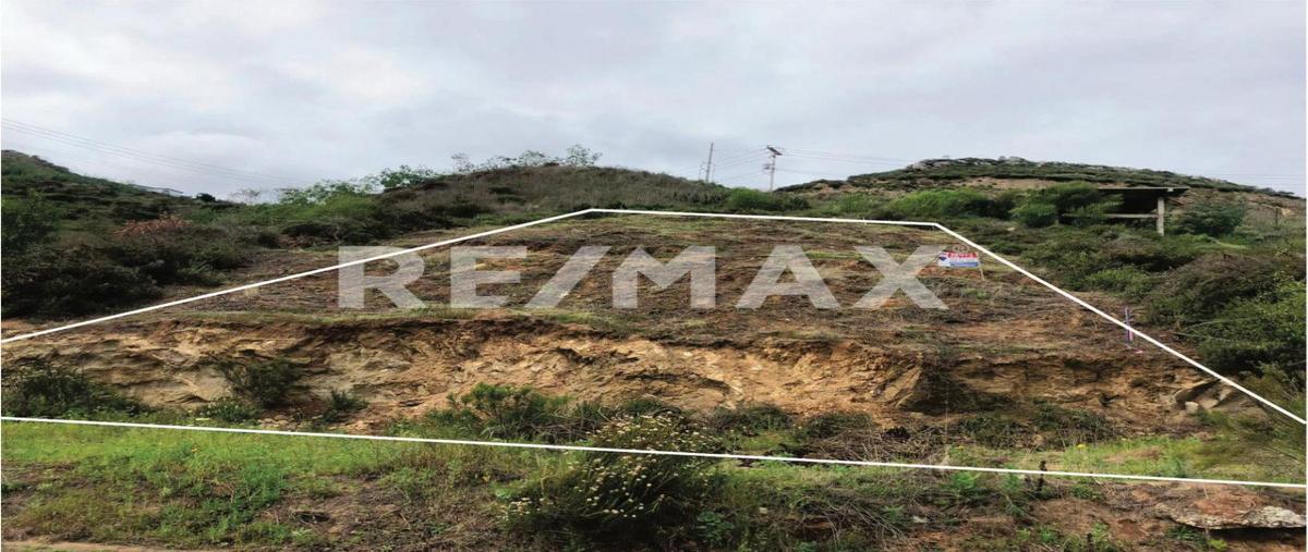 Foto de terreno habitacional en venta en calle don jesus , los encinos, ensenada, baja california, 27630534 No. 03
