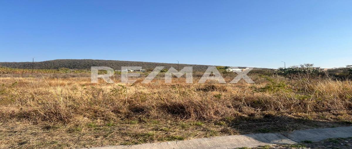 Foto de terreno habitacional en venta en calle edfu , jaramillo de abajo, lagos de moreno, jalisco, 0 No. 04