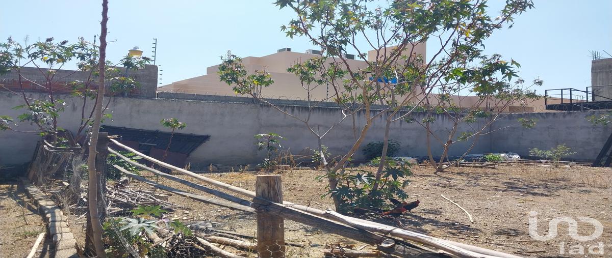 Foto de terreno habitacional en venta en calle el pocito 123, san andres huayapam, san andrés huayápam, oaxaca, 31401770 No. 05