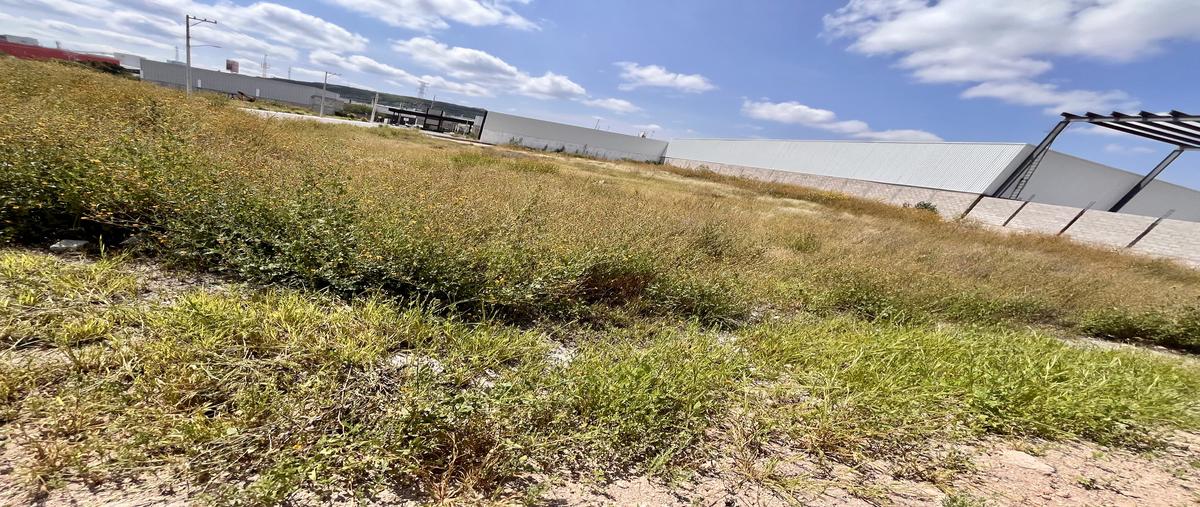 Foto de terreno industrial en venta en calle eucalipto , el carmen, el marqués, querétaro, 0 No. 05