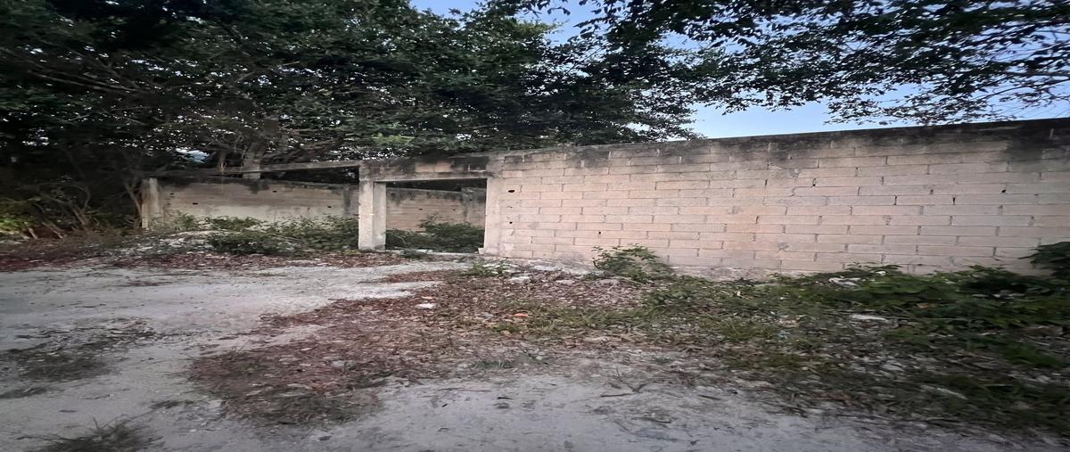 Foto de terreno habitacional en venta en calle eukalictoalamos , álamos i, benito juárez, quintana roo, 30056824 No. 03