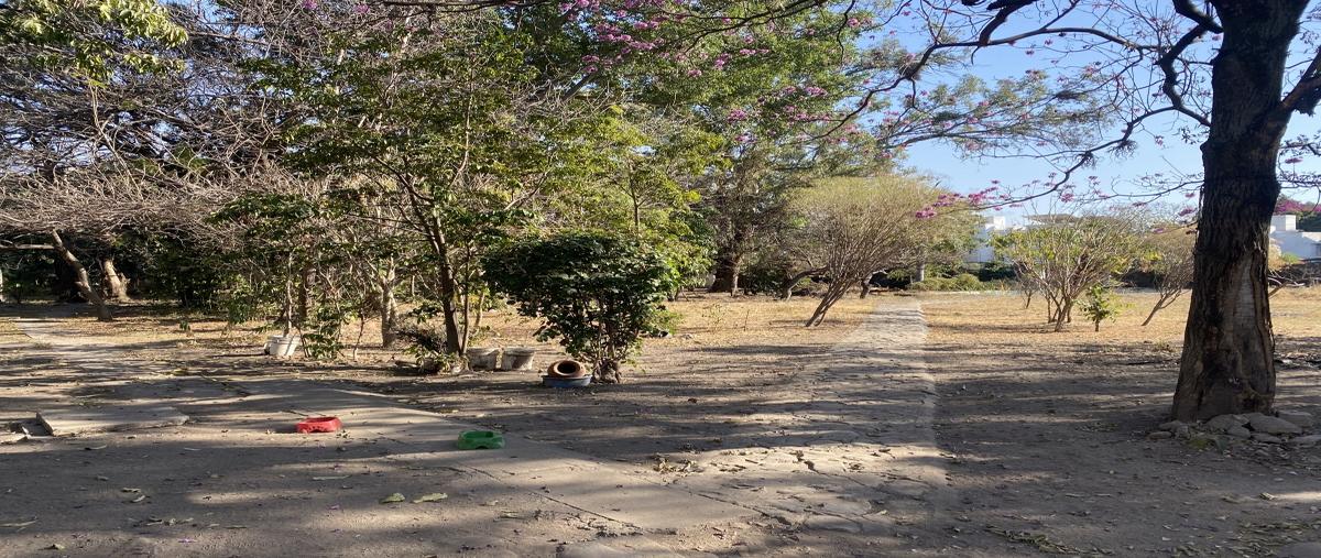 Foto de terreno habitacional en venta en calle felipe neri, colonia zapata , ampliación emiliano zapata, cuautla, morelos, 0 No. 05
