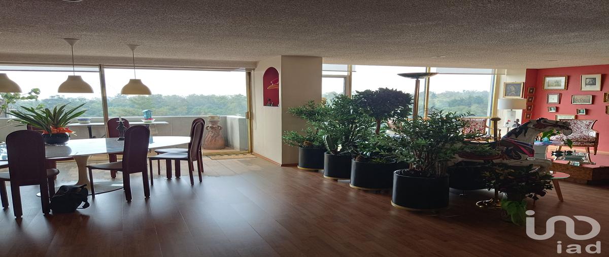Foto de departamento en venta en calle fernando alencastre 333, lomas de chapultepec iv sección, miguel hidalgo, df / cdmx, 31509653 No. 05