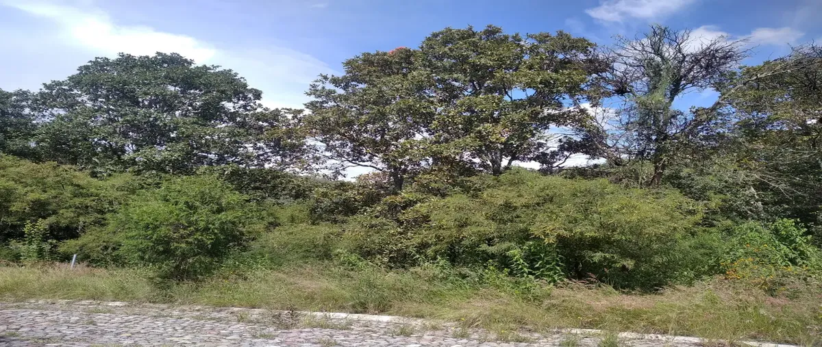 Foto de terreno habitacional en venta en calle fernando platas 18, campestre haras, amozoc, puebla, 30137832 No. 03