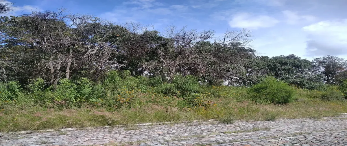 Foto de terreno habitacional en venta en calle fernando platas 18, campestre haras, amozoc, puebla, 30137832 No. 04