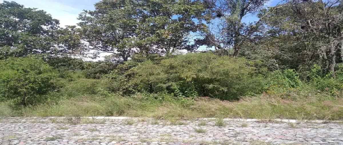 Foto de terreno habitacional en venta en calle fernando platas 18, campestre haras, amozoc, puebla, 30137832 No. 05