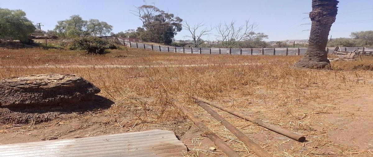 Foto de terreno comercial en renta en calle ferrocarrill , río tijuana 3a etapa, tijuana, baja california, 0 No. 07
