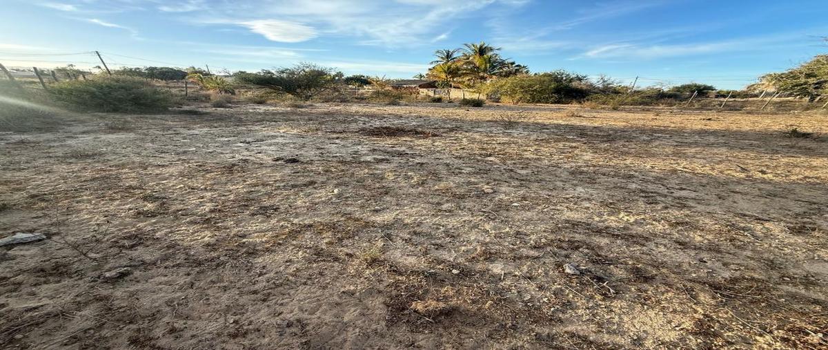 Foto de terreno habitacional en venta en calle filomeno carballo 8 colonia, don martín, los cabos, baja california sur, 0 No. 03