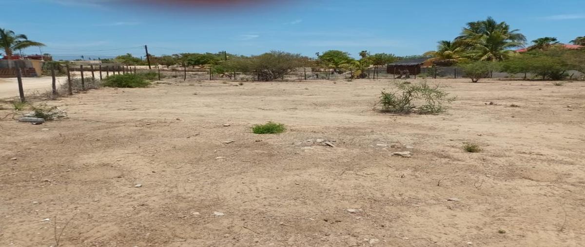 Foto de terreno habitacional en venta en calle filomeno carballo 8 colonia, don martín, los cabos, baja california sur, 0 No. 05