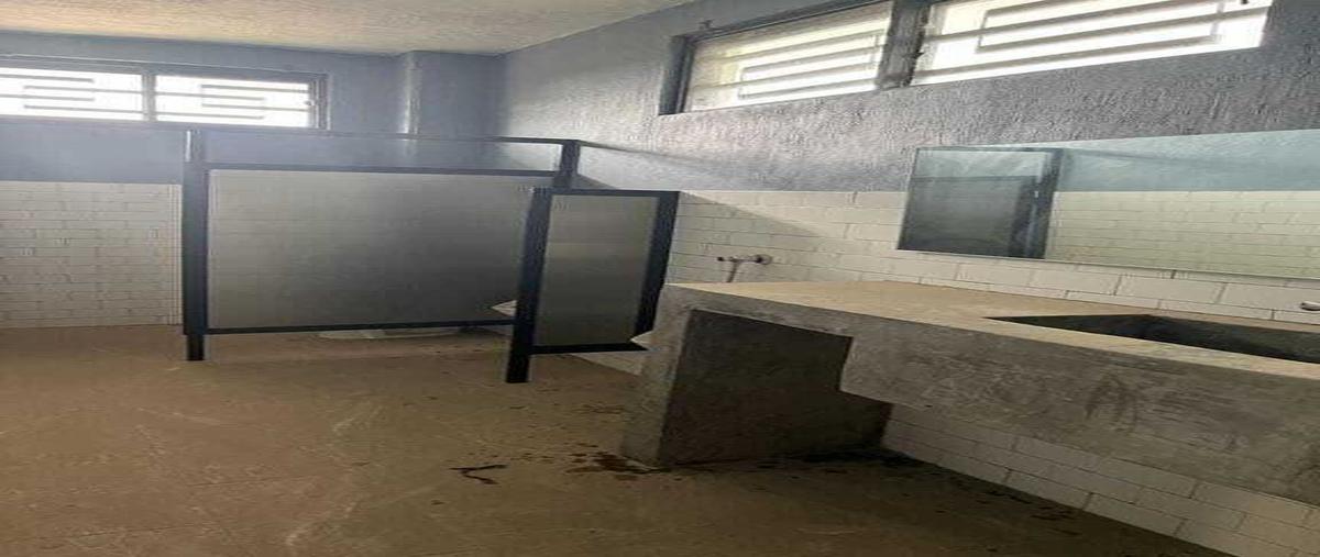 Foto de bodega en renta en calle flor de tulipanes , el zapote del valle, tlajomulco de zúñiga, jalisco, 0 No. 11