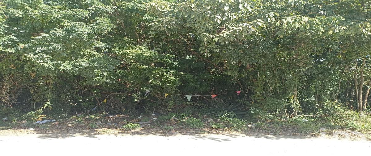 Foto de terreno comercial en renta en calle fonatur , supermanzana 313, benito juárez, quintana roo, 28725148 No. 03