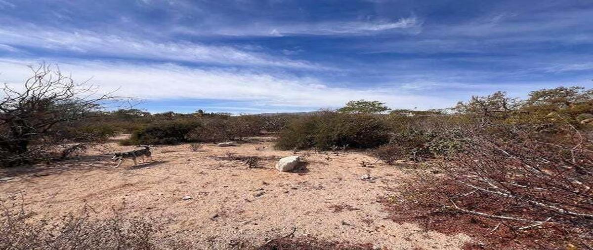 Foto de terreno habitacional en calle fondo marino , el sargento, la paz, baja california sur, 0 foto 03 Foto de terreno habitacional en venta en calle fondo marino , el sargento, la paz, baja california sur, 0 No. 03