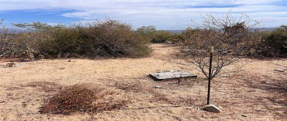 Foto de terreno habitacional en calle fondo marino , el sargento, la paz, baja california sur, 0 foto 05 Foto de terreno habitacional en venta en calle fondo marino , el sargento, la paz, baja california sur, 0 No. 05